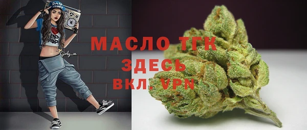 шишки Аркадак