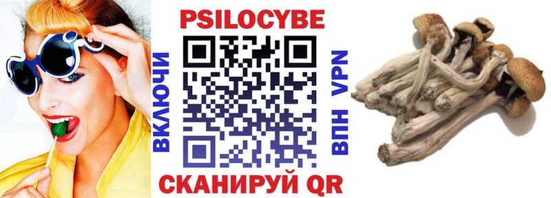 Купить закладки  Кизляр  Галлюциногенные грибы ЛСД 